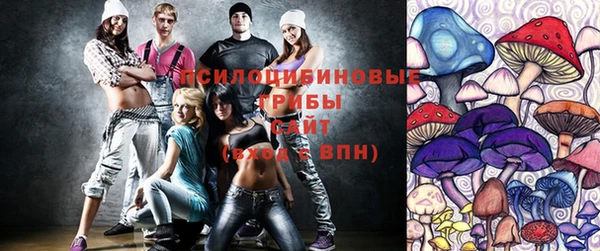 спайс Краснослободск