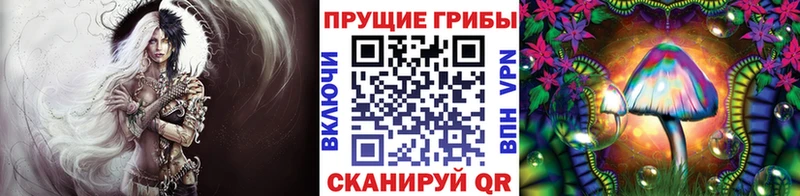 даркнет сайт  Моздок  Псилоцибиновые грибы Psilocybe 