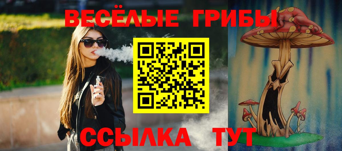 Псилоцибиновые грибы Magic Shrooms  Галлюциногенные грибы GOLDEN TEACHER  сколько стоит  Моздок  Вход с VPN 