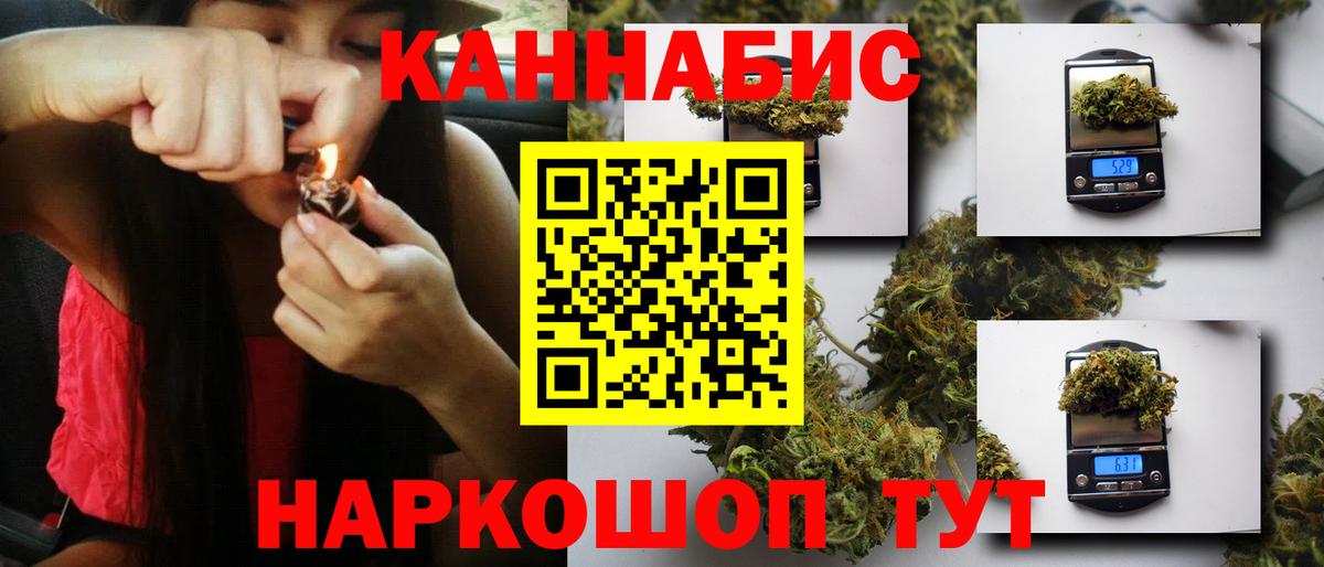 Бошки Шишки планчик Моздок